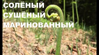 видео: Заготовка папоротника ОРЛЯКА: соленый, сушеный, маринованный картинка: Заготовка папоротника ОРЛЯКА: соленый, сушеный, маринованный