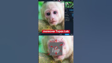 Topaz lab, video AI, gigapixel, sharpen, denoise, Nvidia Canvas