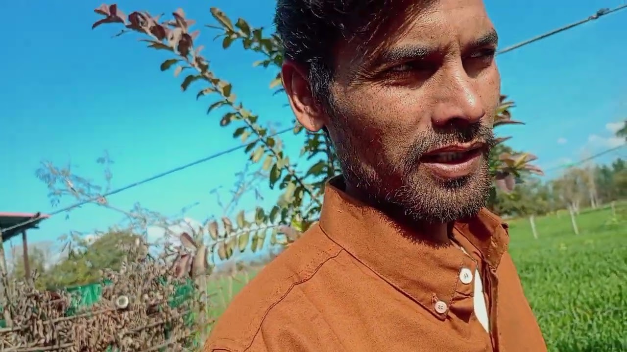 Shorts video trending vlogs # mini vlog YouTube channel Jaspreetdogra05 