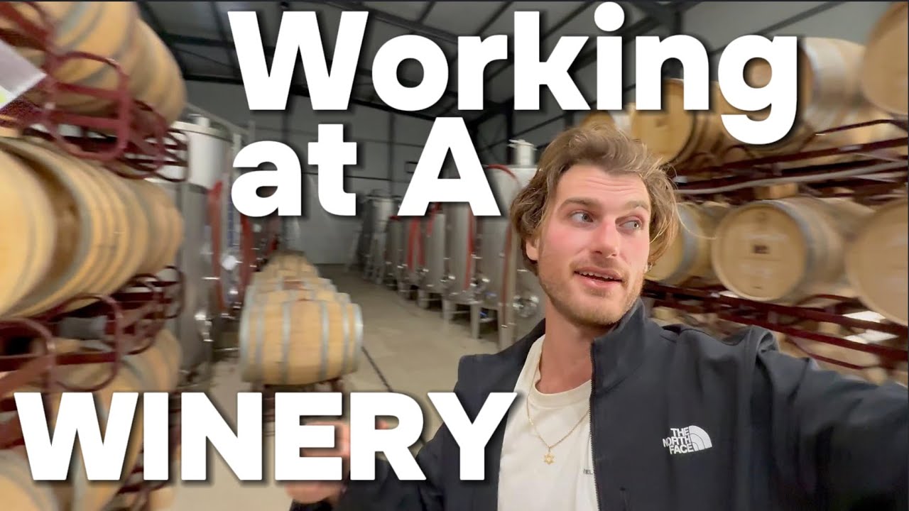 I got a job making wine in Portugal