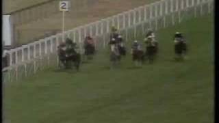 The Minstrel - 1977 King George