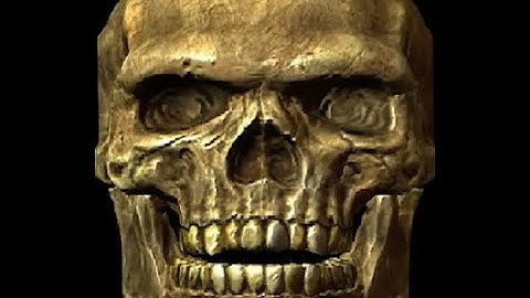 the skeleton appears