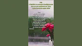 Canal Espírita - Espiritismo em Foco