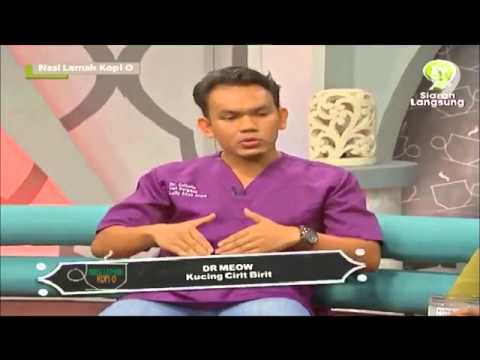 Dr Meow - Kucing cirit birit - YouTube