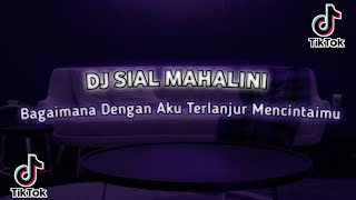 Dj Slowbass Terbaru 2023  Dj Sial Mahalini Remix Bass