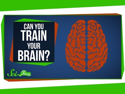 Can You Really &rsquo;Train&rsquo; Your Brain?