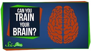 Can You Really 'Train' Your Brain?