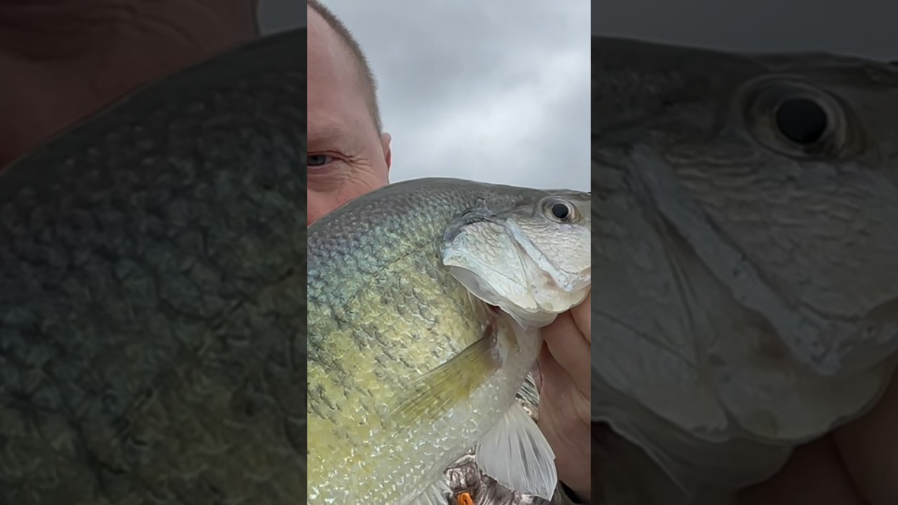 Big Slab Crappie, First Fish of the year! 