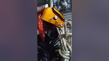 Khoá an toàn đu dây hái lan bắt ong cưa cây