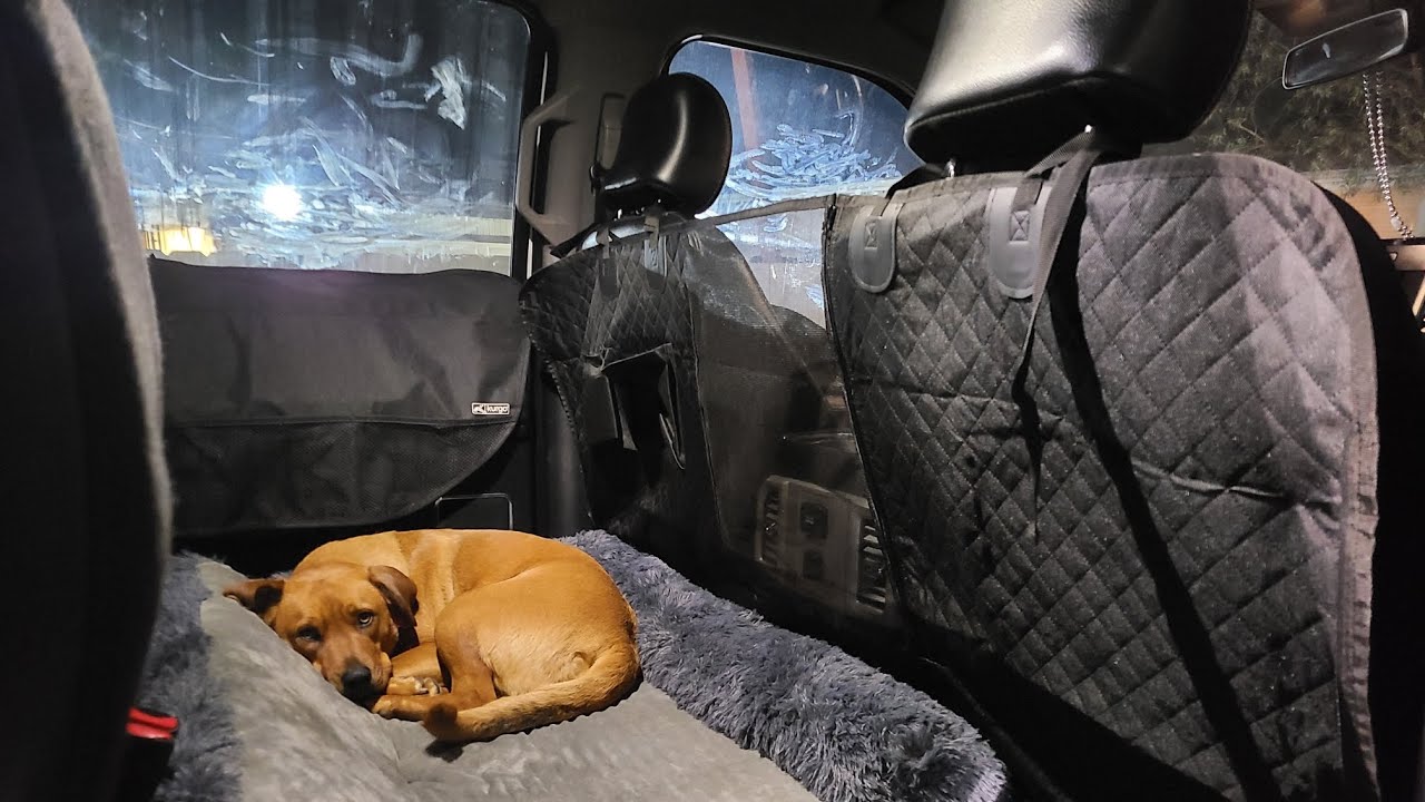 team k9 truck seat cover YouTube