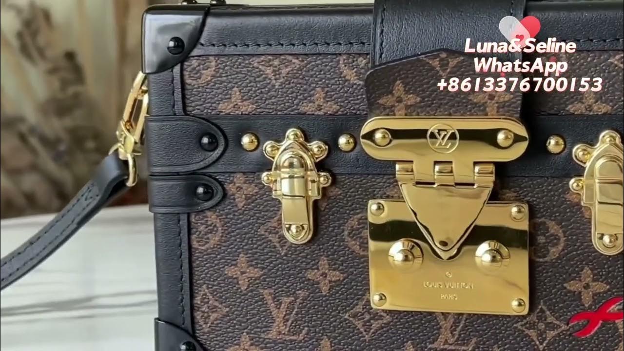 LOUIS VUITTON Catogram Petite Malle trunk cat bag Grace Coddington