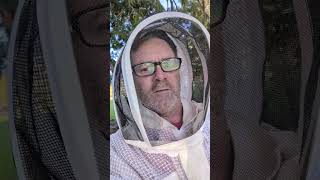 VARROA MITE TEST #gardentour #garden #fruitgarden #foodforest
