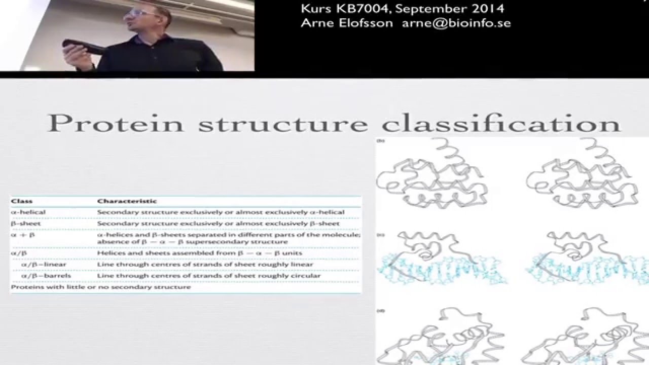 Introduction to genes and genomes
