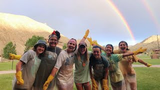 WaFaRa WC 2019