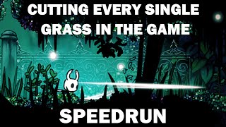 Hollow Knight - Speedrun