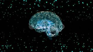 Human Brain | Motion Graphics - Envato elements