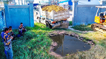Perfectly Starting New Project Filling Land Delete Pond By Bulldozer Komatsu D20 With Truck 5T