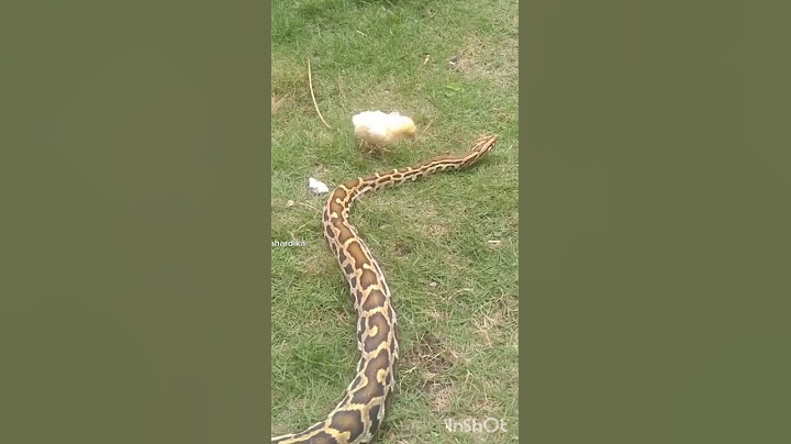 saat teman lama bertemu kembali