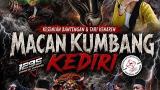 MACAN KUMBANG LIVE SENOWO  PENONTONNYA FULL FEAT NOVI SALON