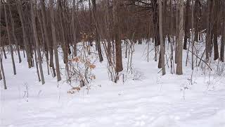 Eatontown Road Port Jervis, Ny 12771 - Land - Real Estate - For Sale