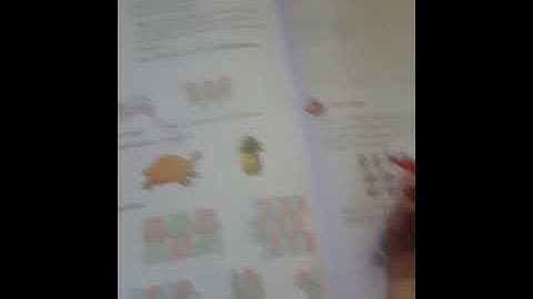 Class:4th Subject:Maths Topic:Shapes space and patterns (Ex 9D)