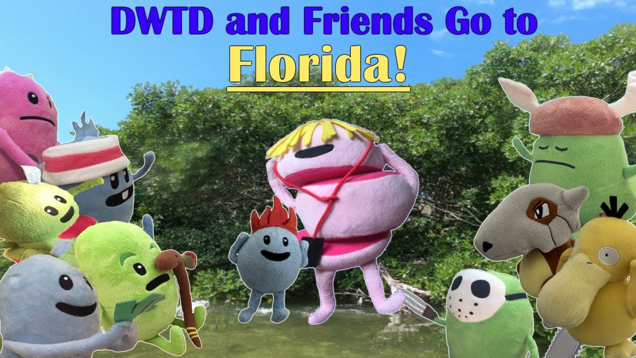 dwtd-plush-friends-go-to-florida-key-west-miami-youtube
