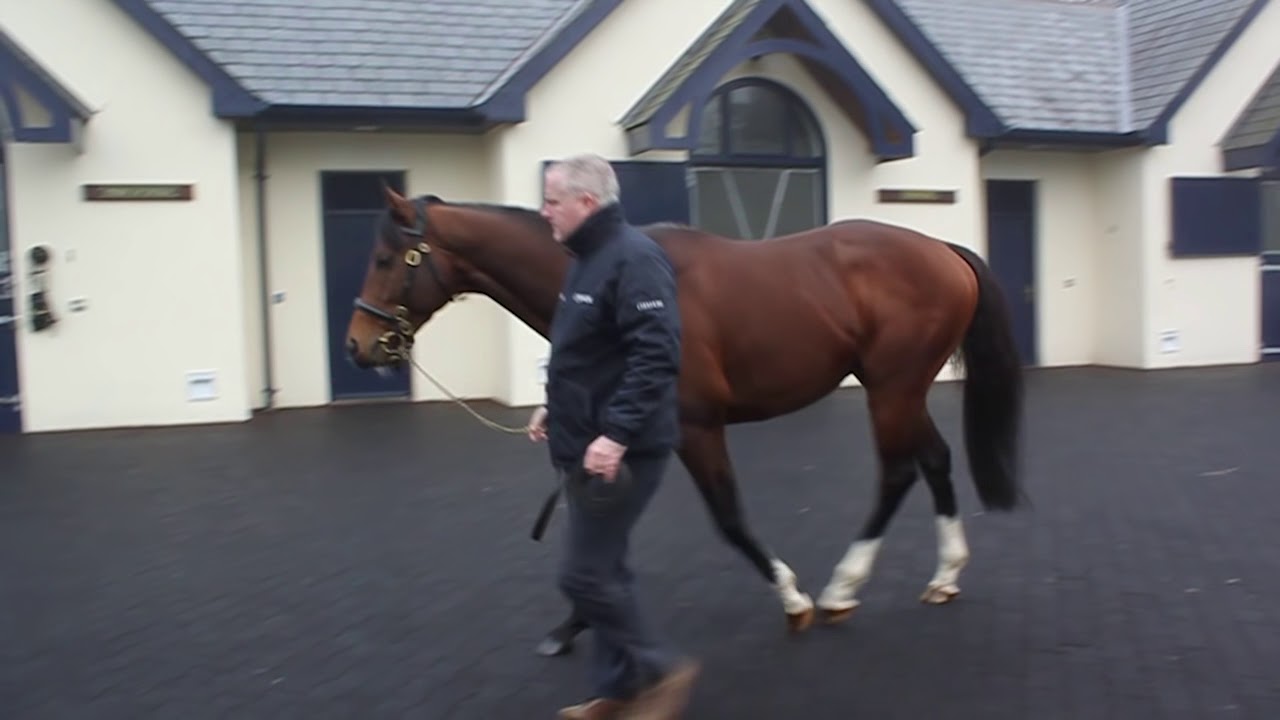 horseshoe bend New Sires 2018 - Churchill