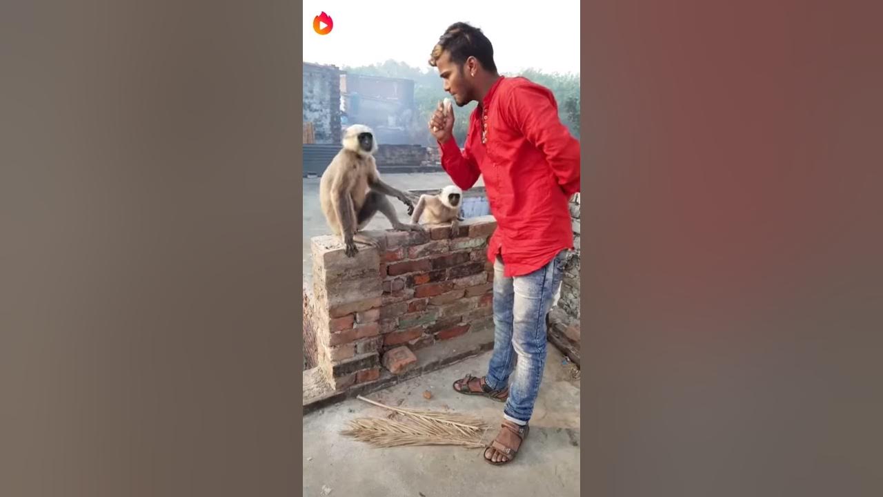 Vigo funny video - YouTube