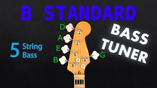 B STANDARD - 5 STRING BASS Tuning (Tuner) screenshot 5