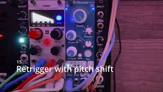Toadstool Tech Ectocore - Eurorack Module on ModularGrid