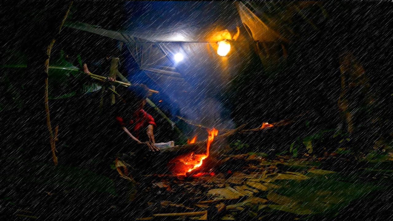 ป่าดิบชื้น เขตแดนเพื่อนบ้าน ￼กับสภาพอากาศที่เดาใจไม่ถูก