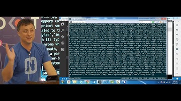 Building Truly Native Mobile Apps with JavaScript/Angular by Dan Wilson at Modern.Web