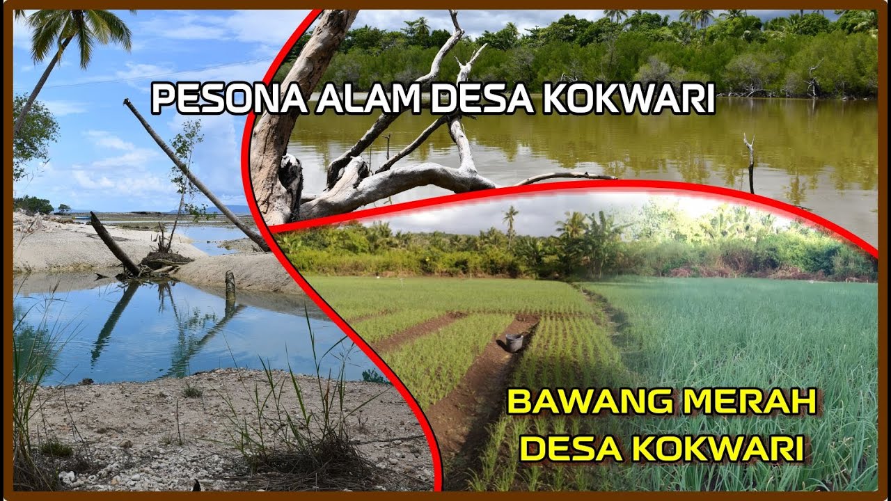 BAWANG MERAH DESA KOKWARI