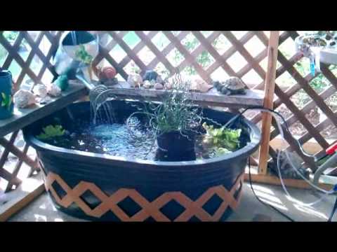 Tuff Stuff Stock Tank Cantainer Goldfish Pond Updated With Plants