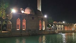 Şanliurfa Balikli Göl Gece 2025