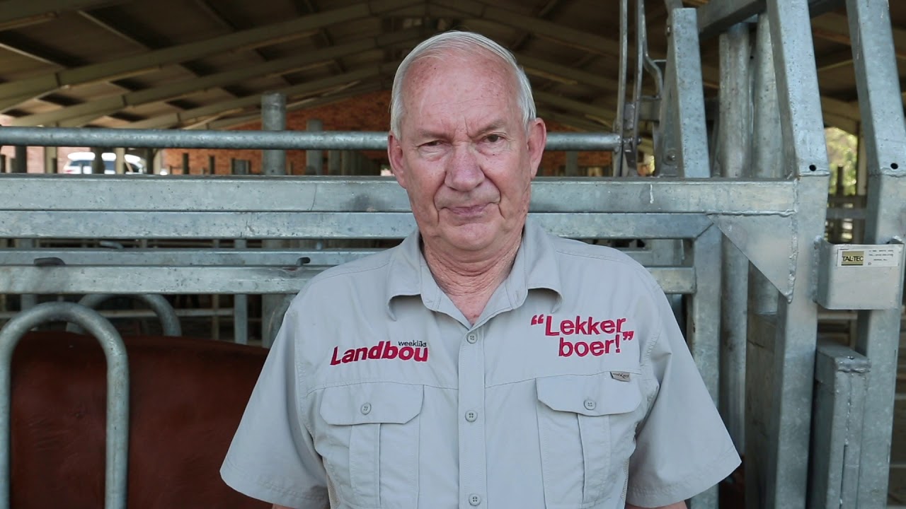 MSD Animal Health S04 Ep10 Hoe Anaplasmosis oorgedra word, en hoe om dit indentifiseer