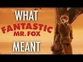 Fantastic mr  fox  what it all meant