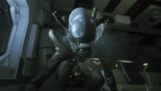 Alien: Isolation™ When Your Caught In Middle of A Dialogue? Net Worth