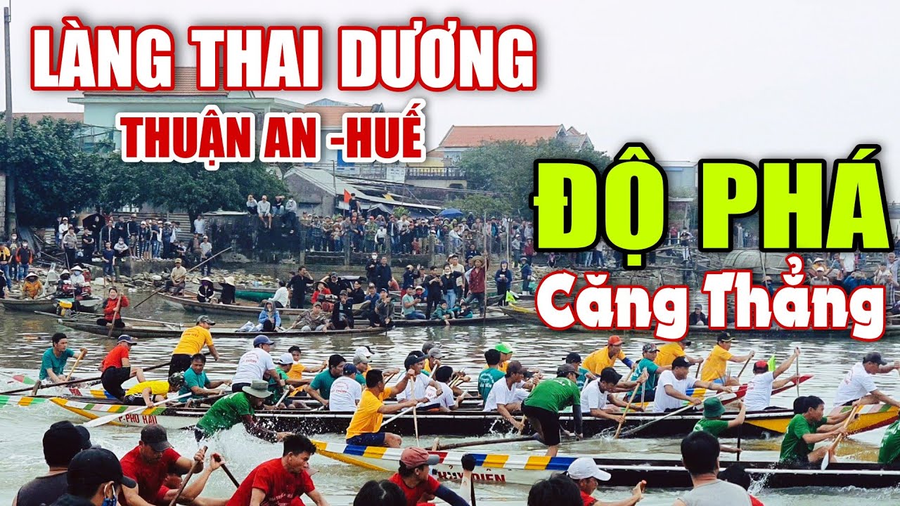 ĐỘ PHÁ CĂNG THẲNG - Đua Ghe LÀNG THAI DƯƠNG .THUẬN AN. HUẾ  (PHÁ TAM GIANG). Trần Bình #557
