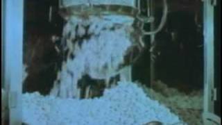 Regal Cinema Grand Opening