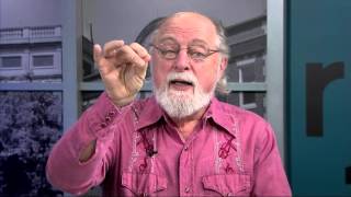 Paul Pepper: Storyteller Larry Brown, The Ornament