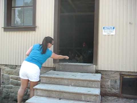 Angie vs. the Chicken Coop, Take 1