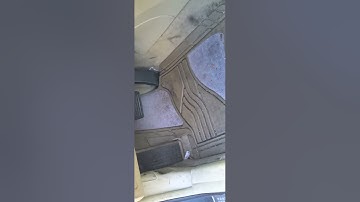 2006 Acura TSX Whine.