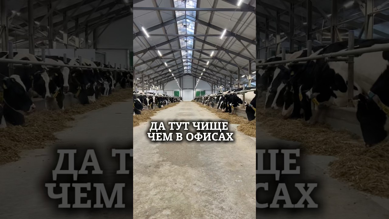 Приятно работать в условиях когда чистота и порядок👍🏻 