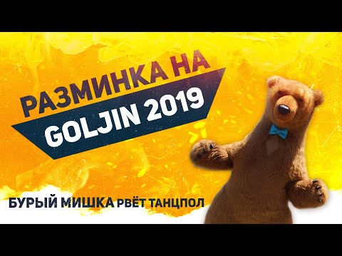 Бурый медведь на соревнованиях по современным танцам в Минске.