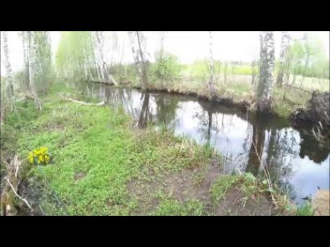 Video: UFOd: Kalapüük Ja 