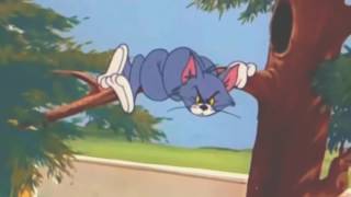 توم وجيري 2016 عربي كامل - Tom and Jerry 2016 # 10