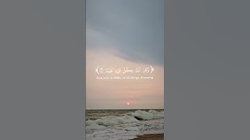 سورة الأحزاب [ ٤٠ ] وكان الله بكلّ شيءٍ عليماً #عبد_الرحمن_مسعد