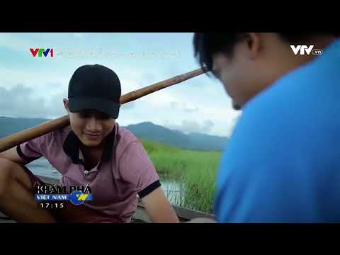 Video Đầm Trà Ổ và câu chuyện về cây cầu tre Phù Mỹ Bình Định - youtube