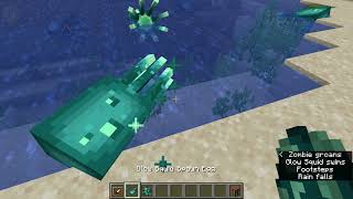 What Can You Do With Glow Ink Sacs In Minecraft 117  Glowinthedark Sign And Frames